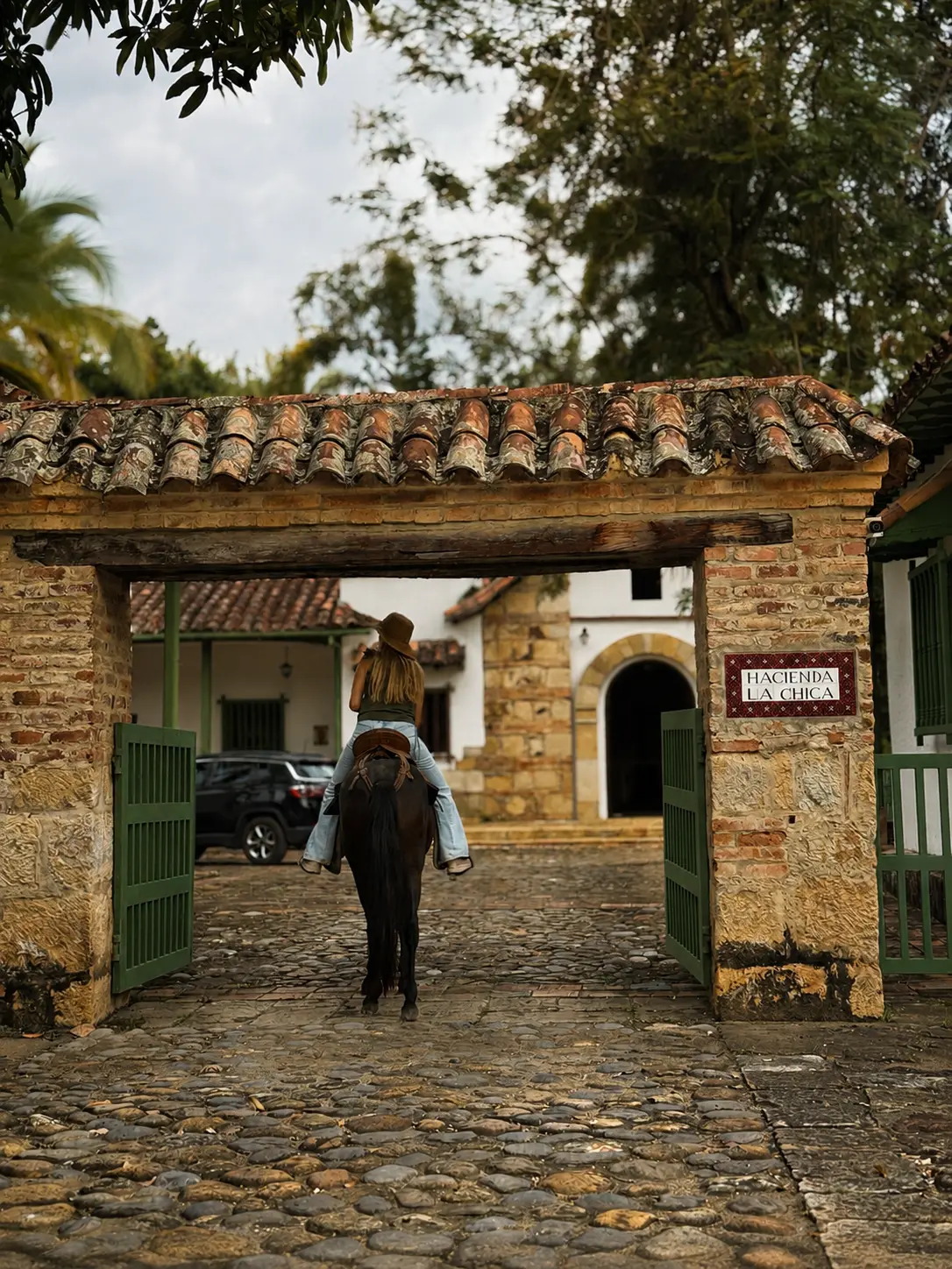 Caballo en los potreros de la hacienda